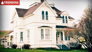 Hex appeal What whimsigoth means for fall listings